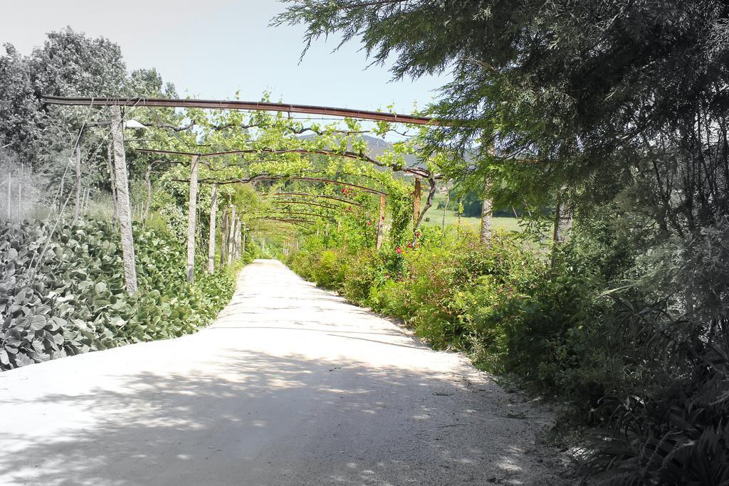 Lousada Country Hotel מראה חיצוני תמונה