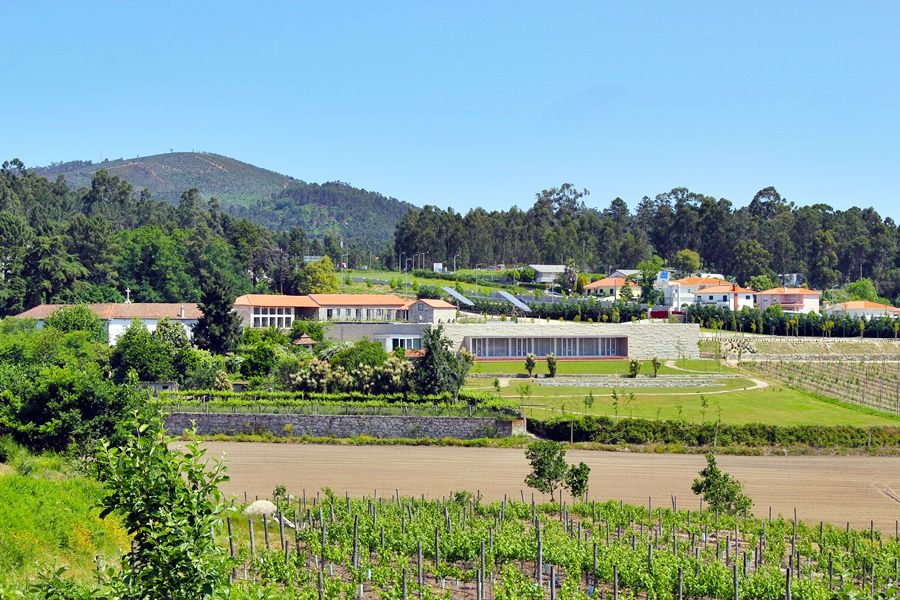 Lousada Country Hotel מראה חיצוני תמונה